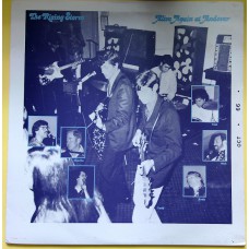 RISING STORM Alive Again At Andover (Arf! Arf! – AA007) USA 1983 numbered LP (Garage Rock, Psychedelic Rock)